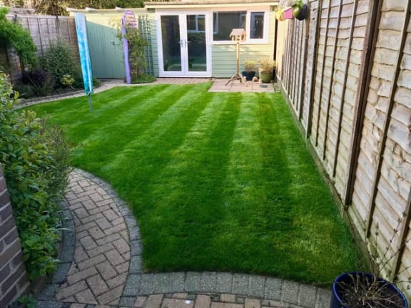 garden turfing services in devon